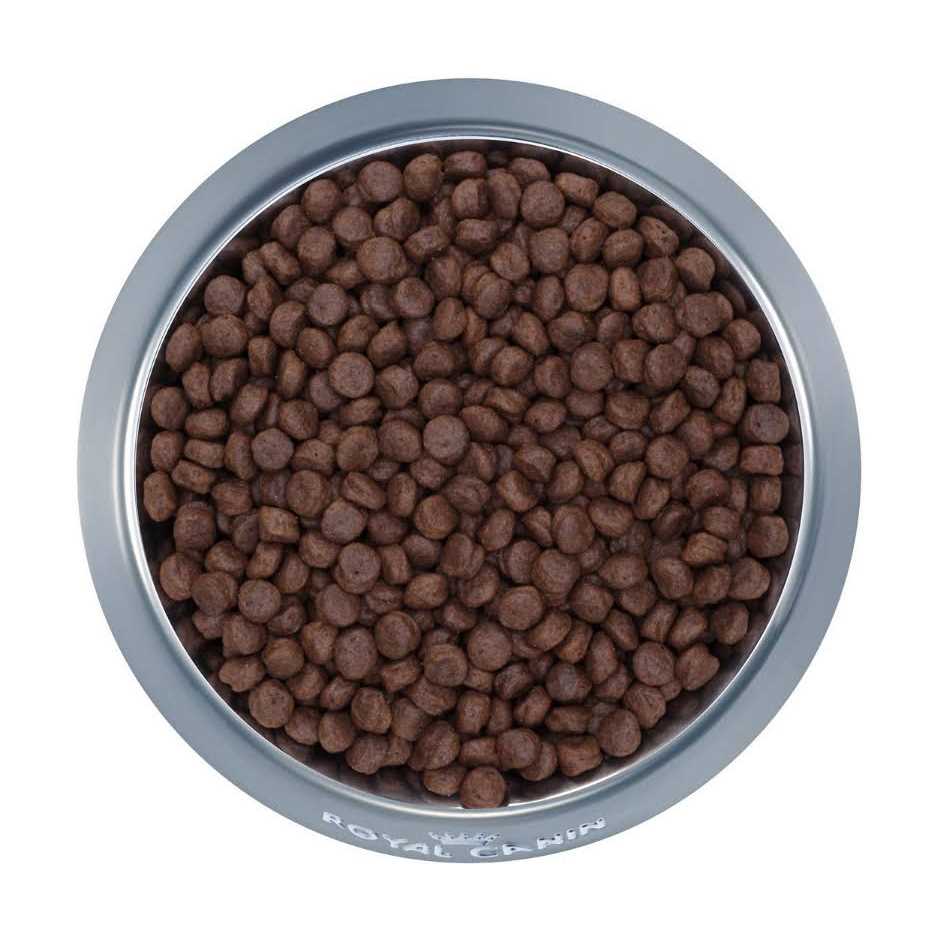 Selected Protein Adult Dry Dog Food X389417