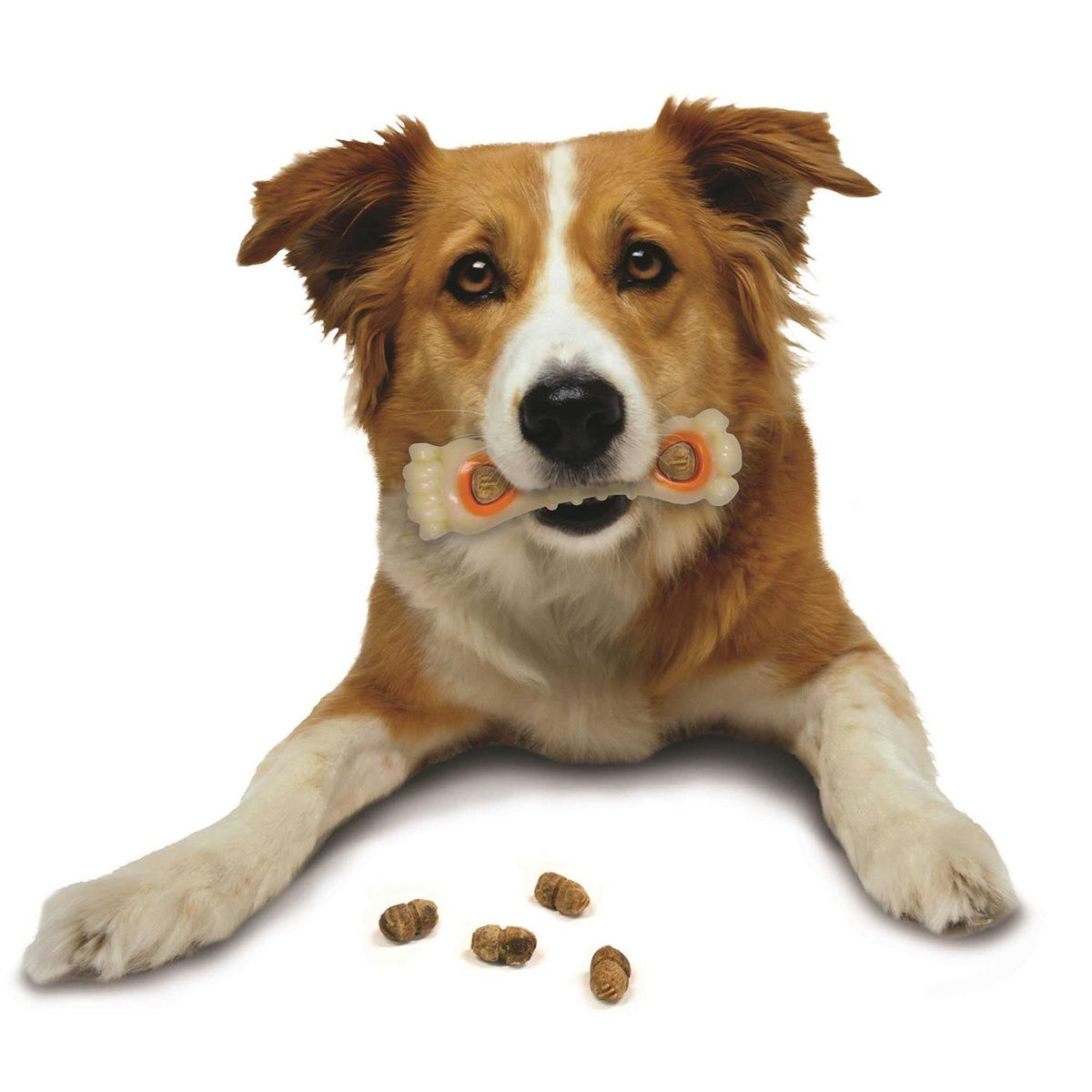 Dog Treat Refills K772
