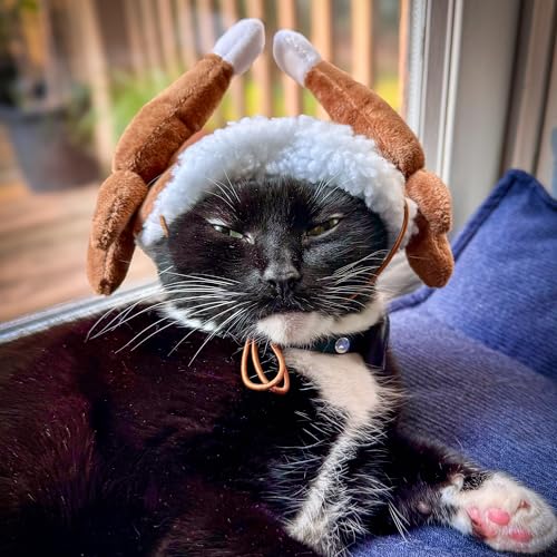 Antler Buffalo Check Pet Hat O66110
