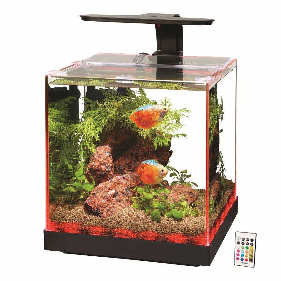 Aquarium L6498
