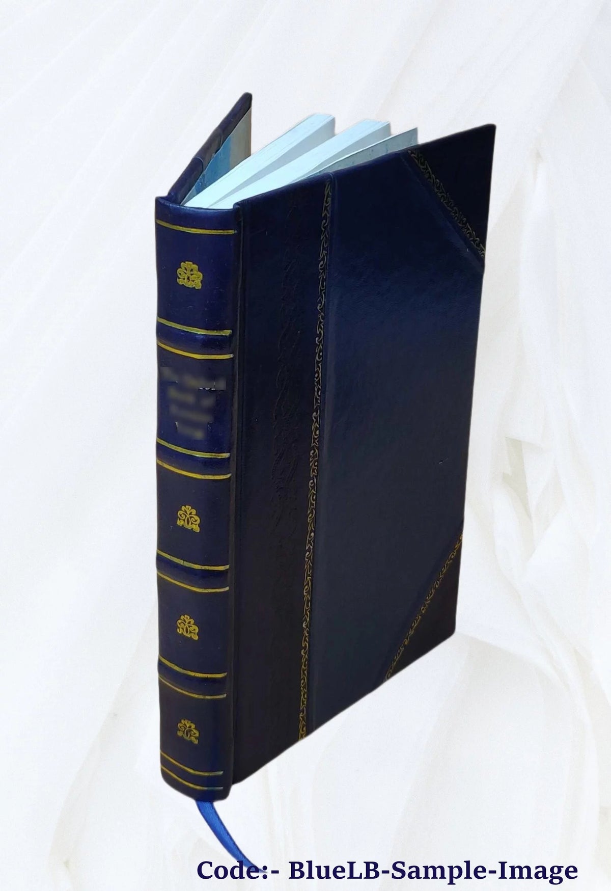 Leather Bound Book C508726