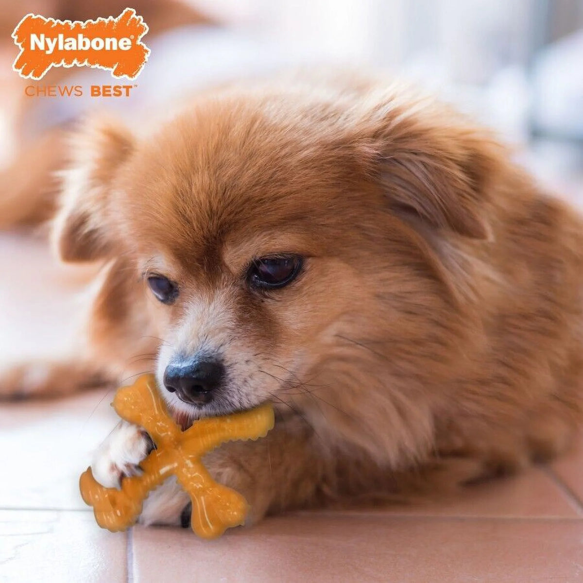 Senior Dog Chew Toy Turkey & Sweet Potato Small P6863