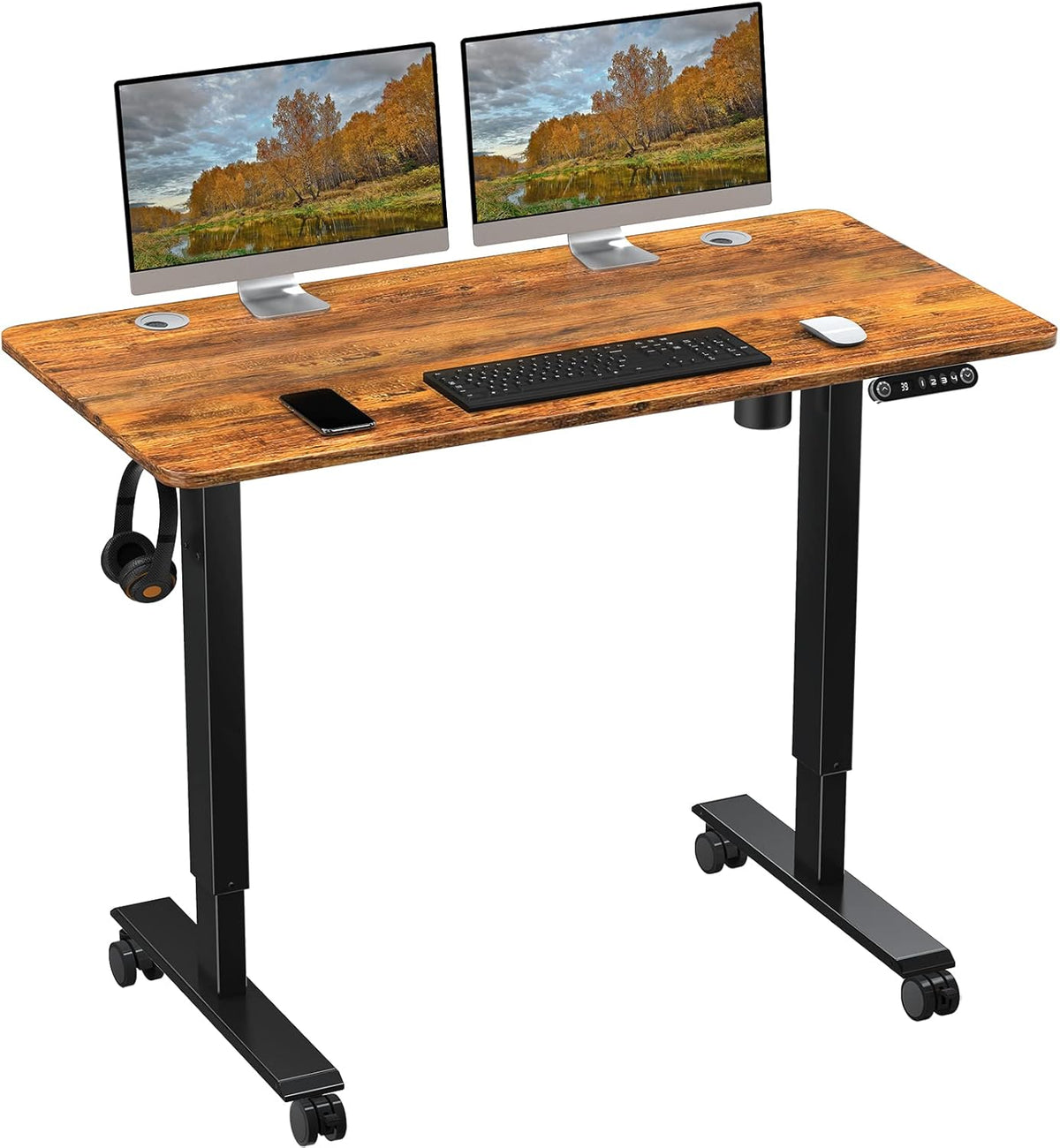 Electric Standing Desk, 48 x 24 Inch Height Adjustable Desk, Black M184