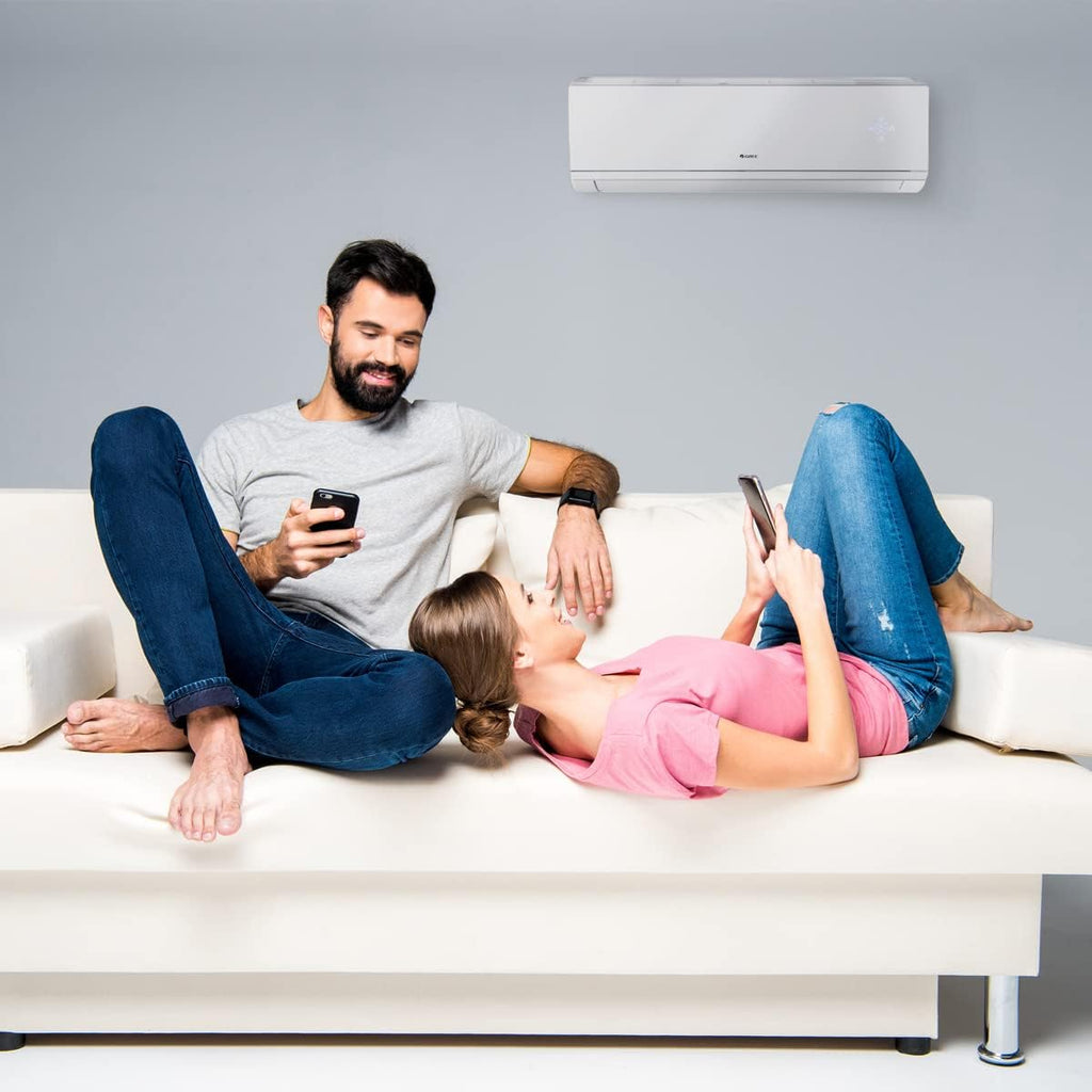 30,000 BTU Dual-Zone Mini Split Air Conditioner Heat Pump T691846