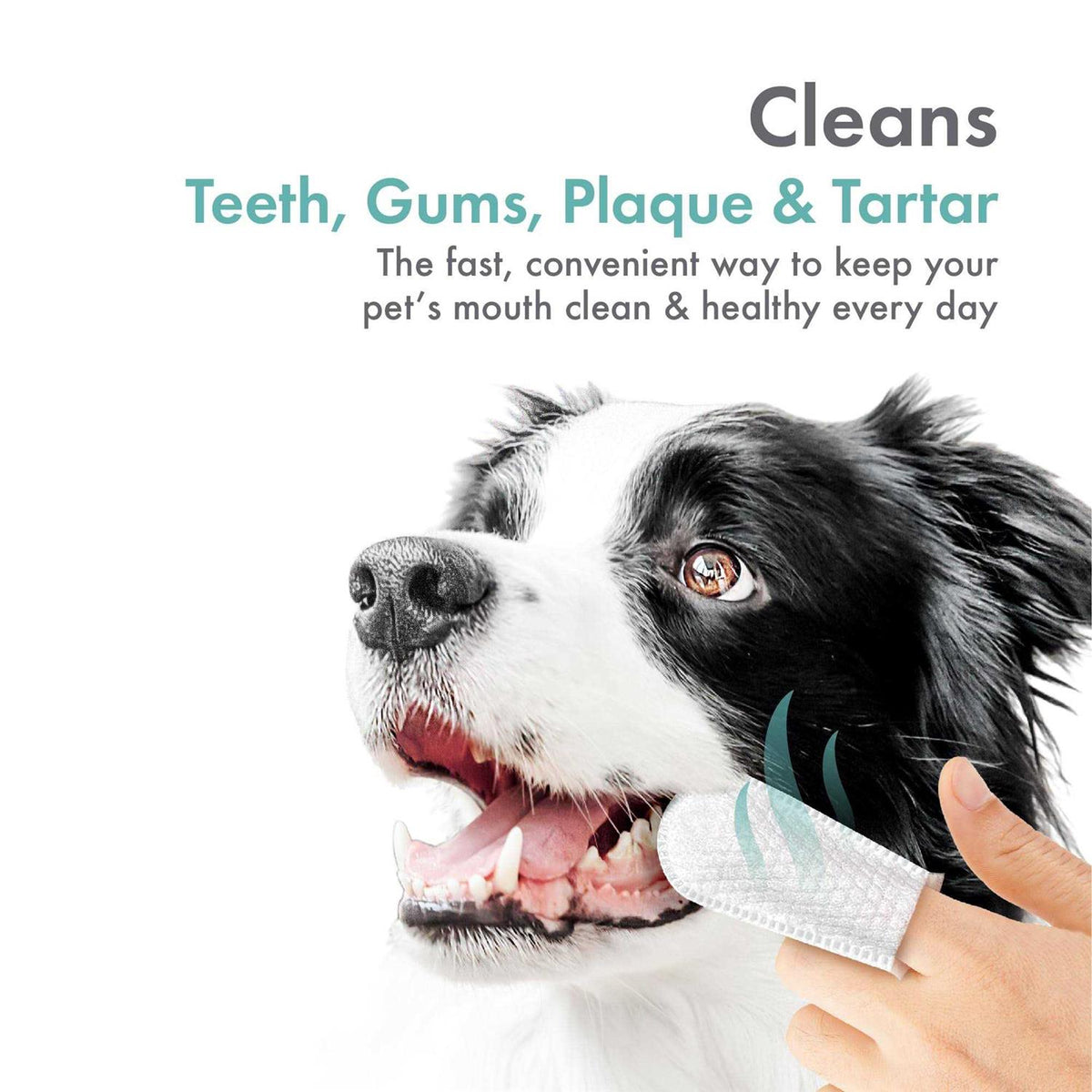Fingertip Tooth Wipes for Dogs and Cats 50 Finger Wipes B7598
