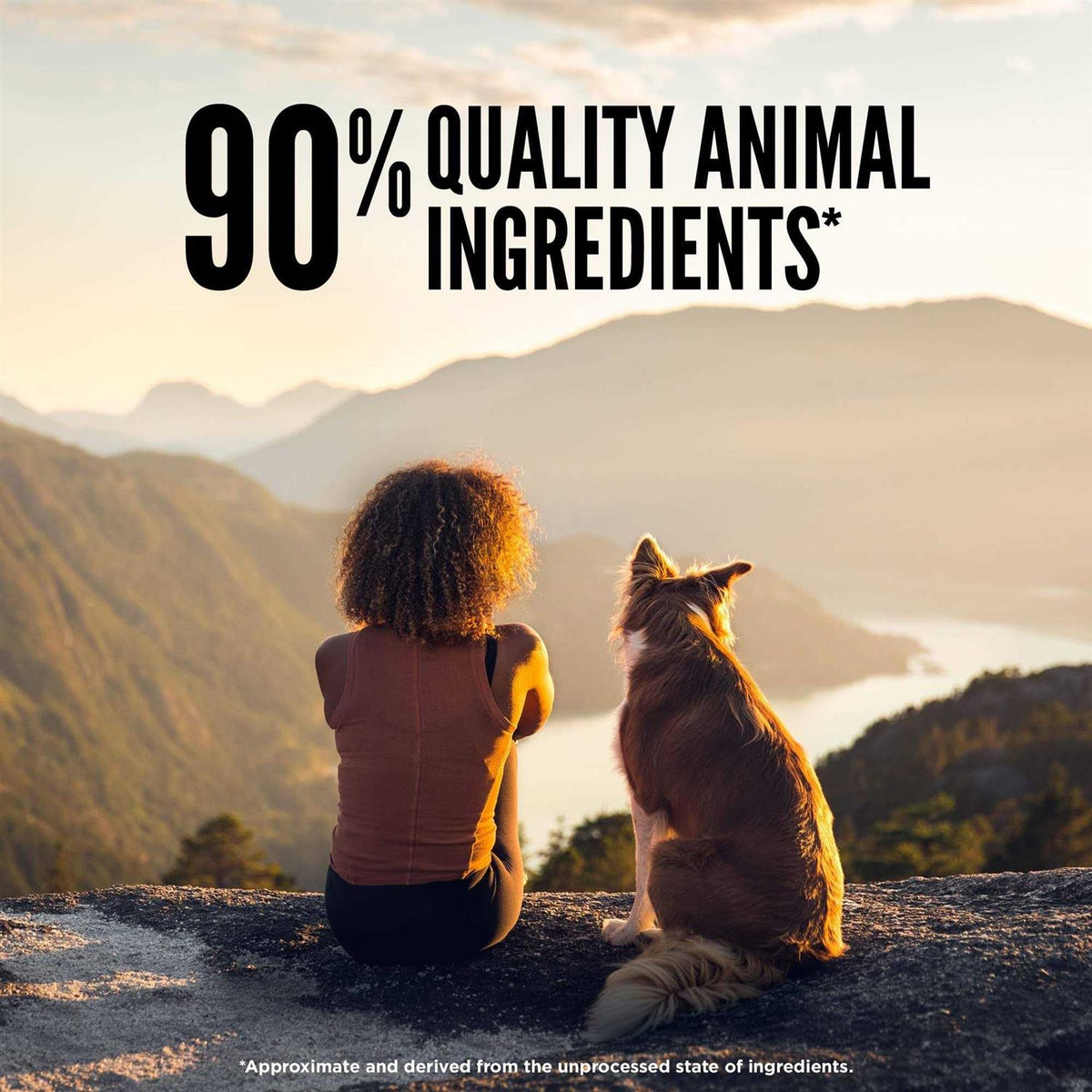 Freeze Dried Dog Food M5435