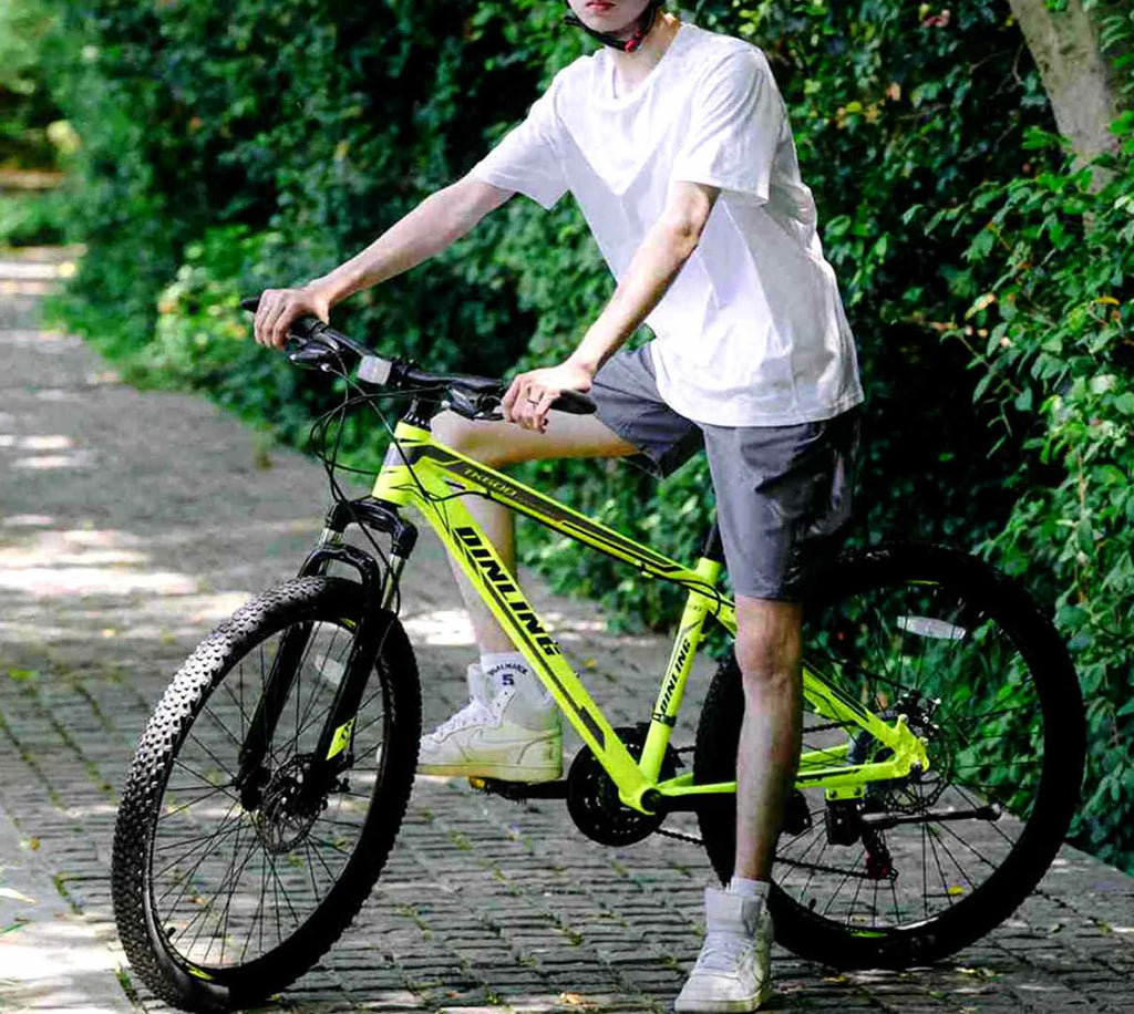 26 inch 21-Speed Mountain Bike D35409