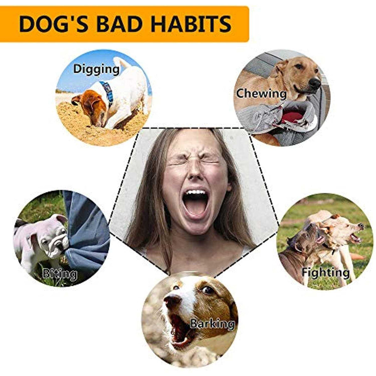 Dog Training Collar with Remote C748