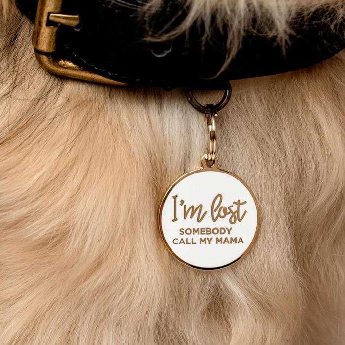 Gold & White Pet ID Tag H3665