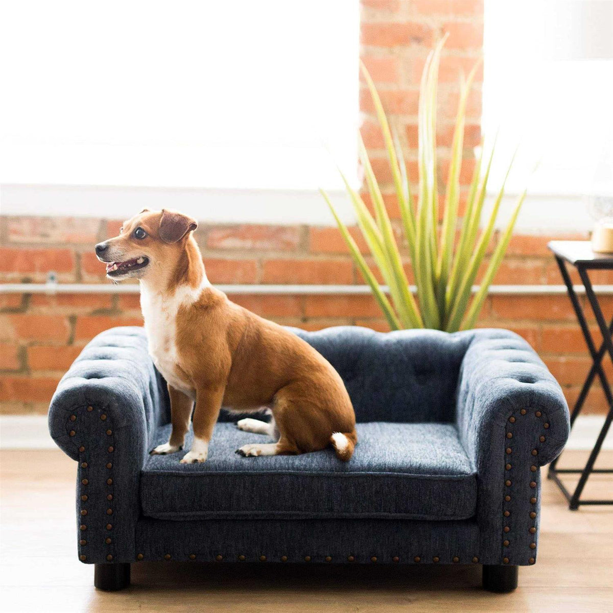 Sofa Dog Bed H2293