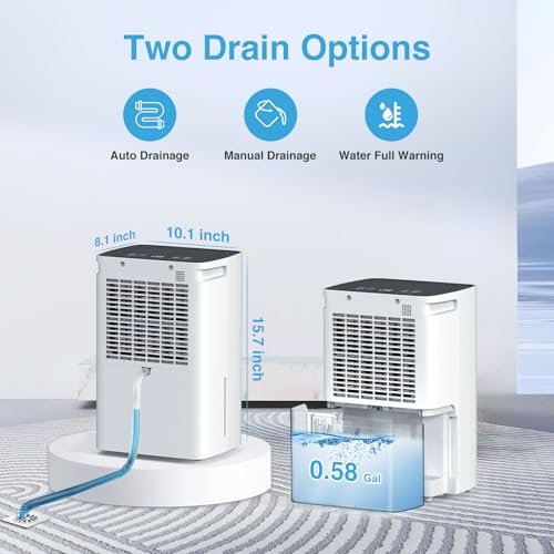 850 Sq.Ft 86OZ Water Tank Dehumidifier with Timer Auto Shut Off P559
