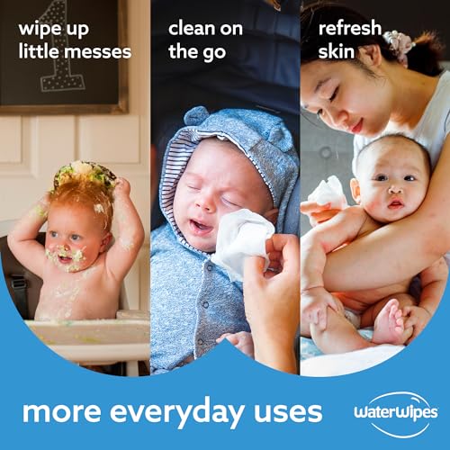 Plastic-Free Unscented Baby Wipes, 60 Count (Pack of 12) B778814