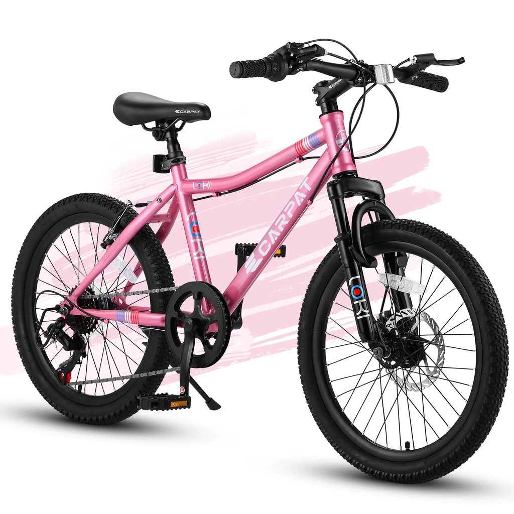 20 Carbon Steel 7-Speeds Kids Mountain Bike B261