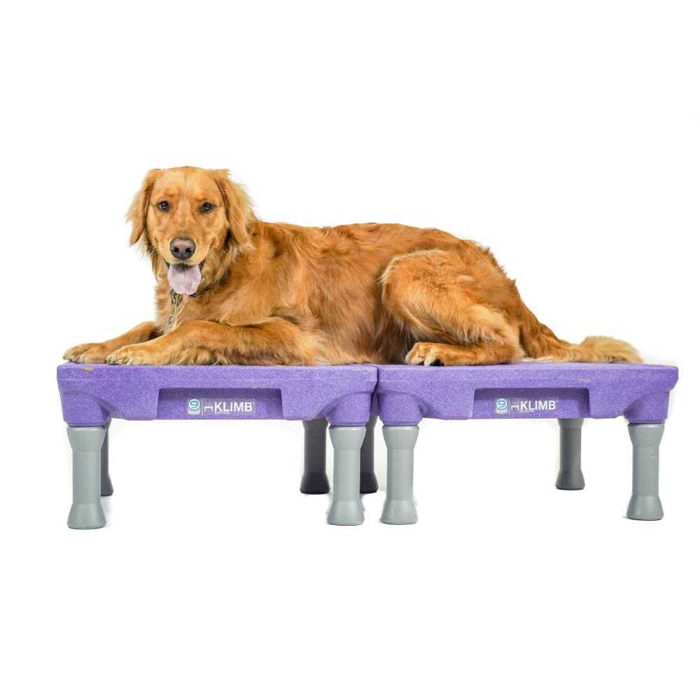 Dog Training Platform & Agility System A672