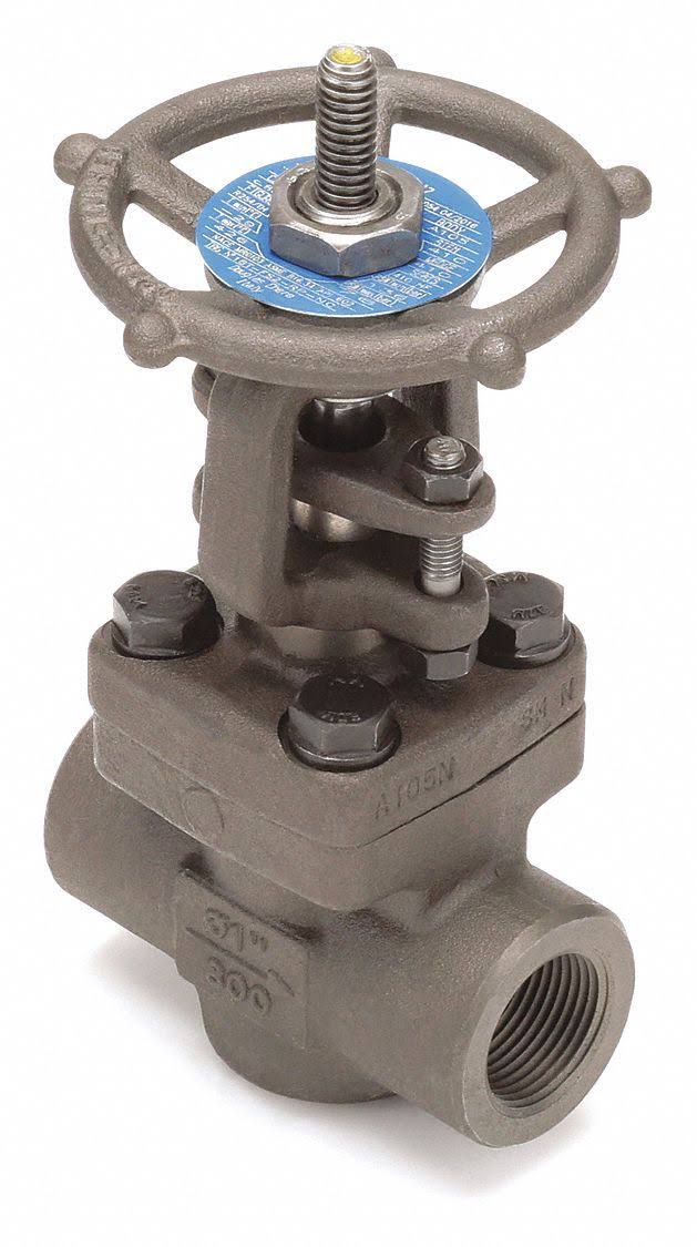 2 in Carbon Steel FNPT Gate Valve M471971