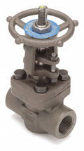 2 in Carbon Steel FNPT Gate Valve M471971