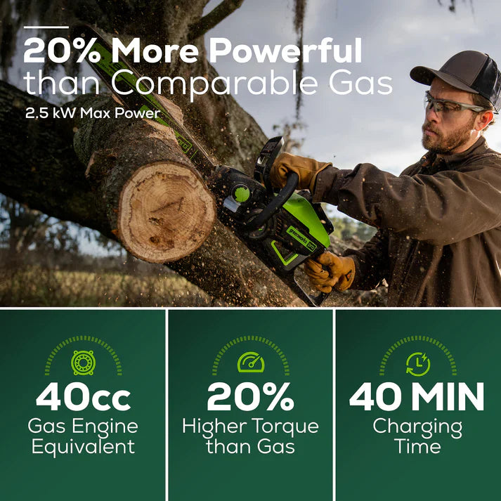 60V Cordless Chainsaw with Battery & Charger E365948