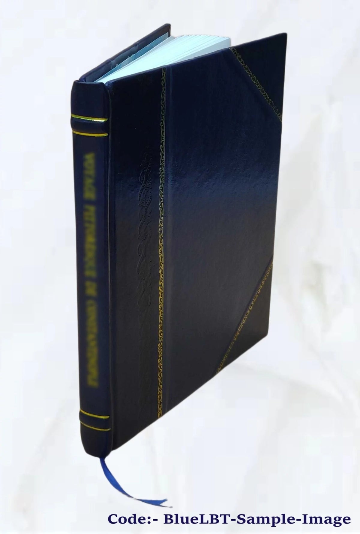 anciennes porcelaines de Chine, de Saxe et de Sèvres, pâte tendre, boîtes et étuis, anciennes tapisseries H852890
