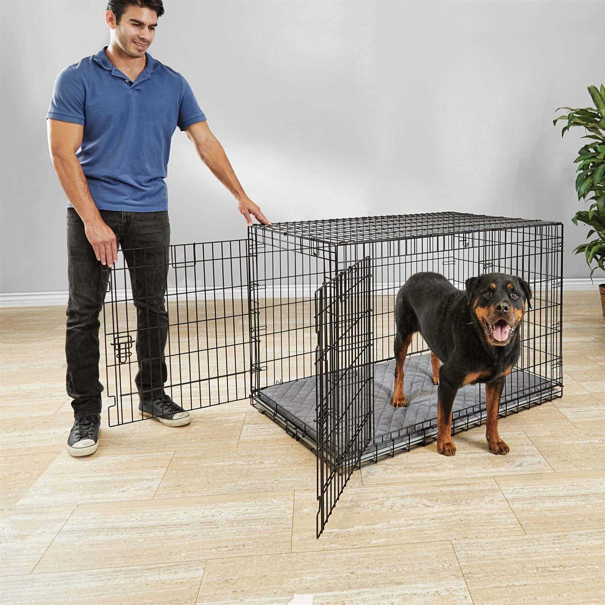 Dog Crate N24731