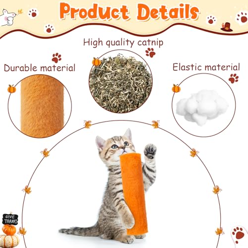 6 Pcs Catnip Cat Toy with Crinkle Sound Soft Plush R854