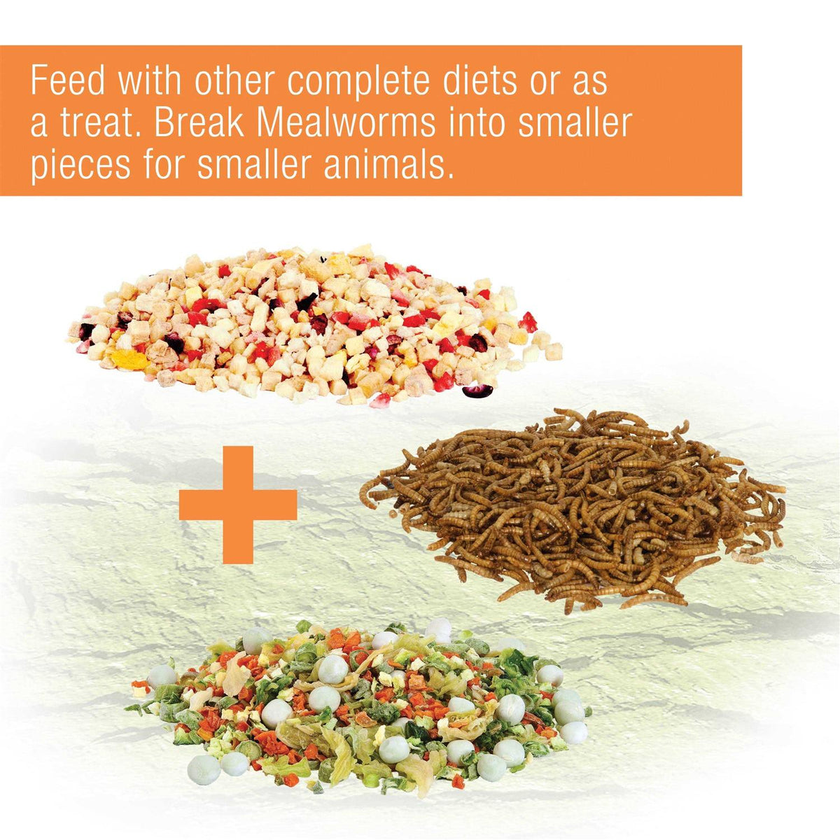 Mealworms Reptile Pet Supplies Q86618