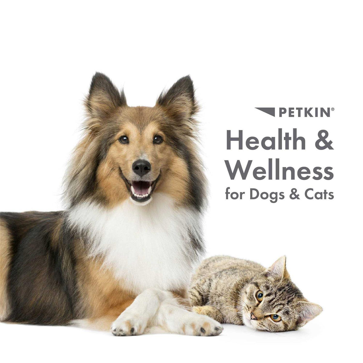 Fingertip Tooth Wipes for Dogs and Cats 50 Finger Wipes B7598