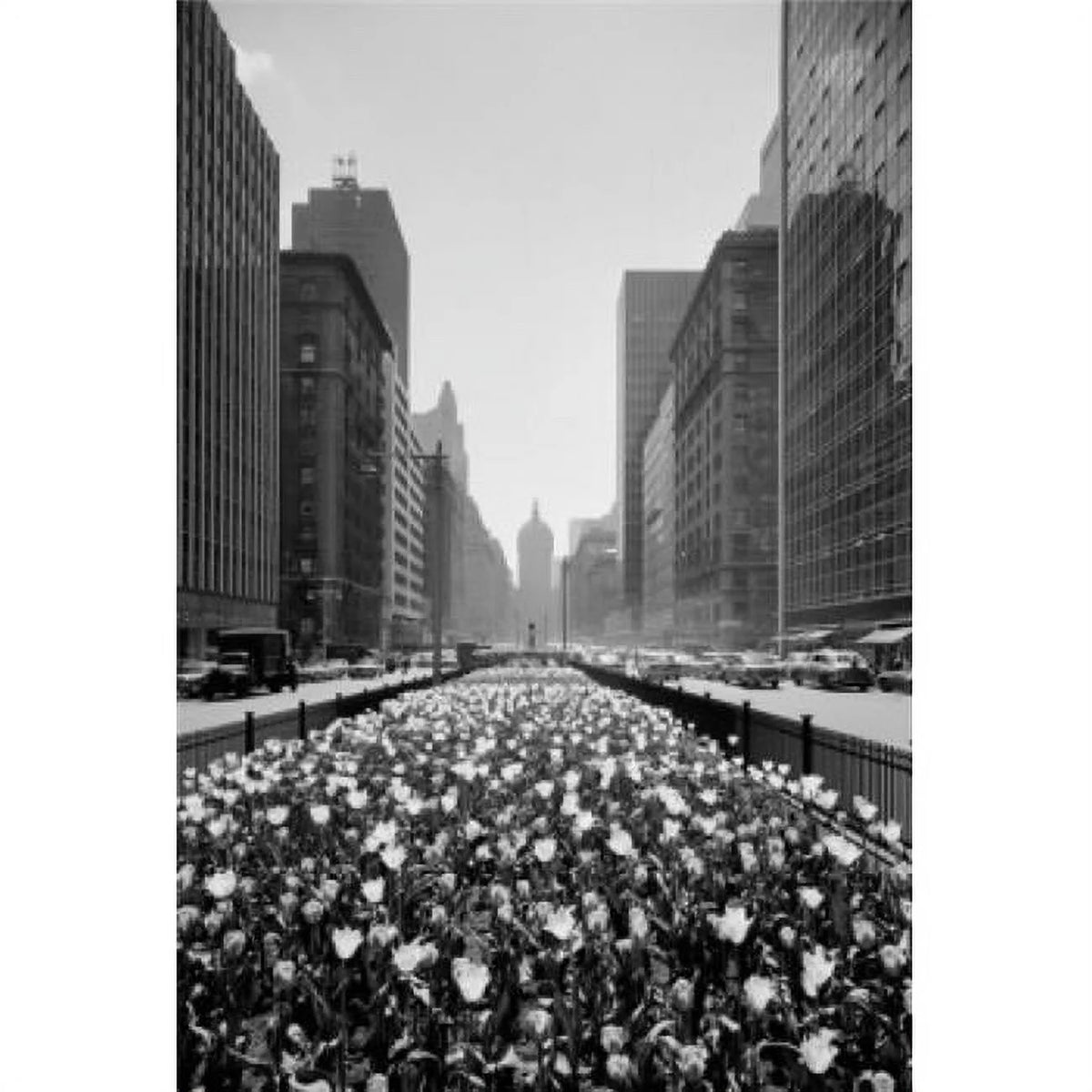 New York City Poster Print 18 x 24 in. F15872