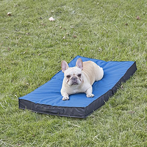 Waterproof Portable Foldable Cooling Orthopedic Dog Bed Z54104