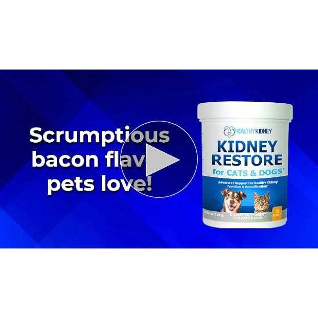 Kidney Support Supplement Q413591