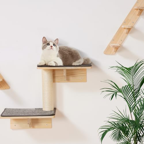 Wall Mounted Cat Shelves Set of 6 T968