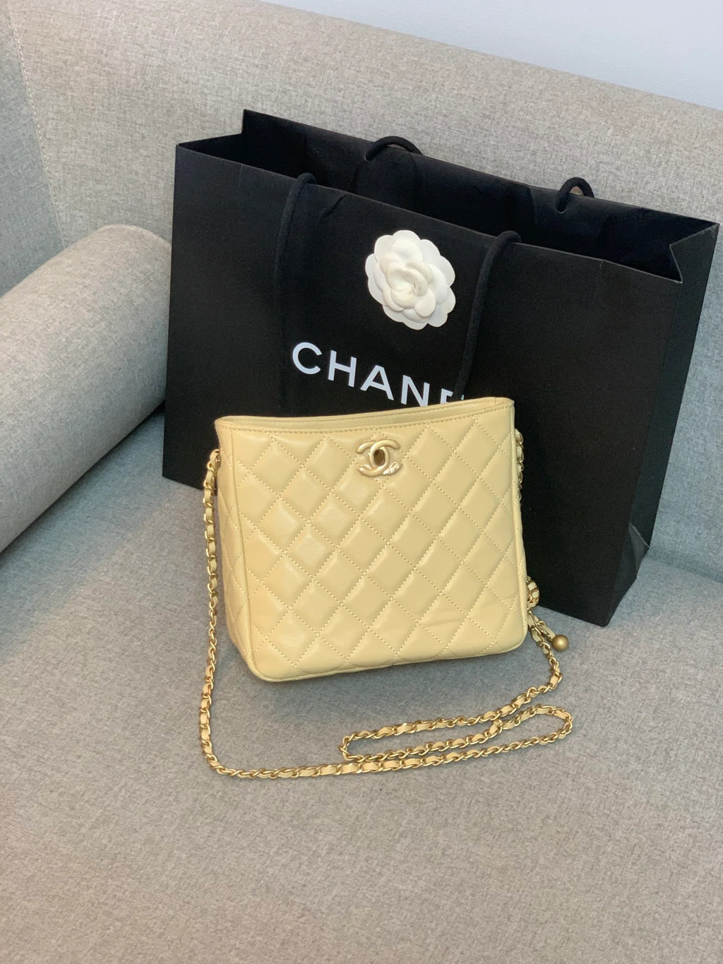 Beige Hobo Handbag S1044