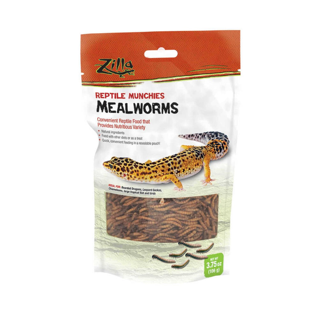 Mealworms Reptile Pet Supplies Q86618