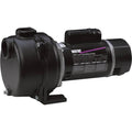 Cast Iron Self-Priming Centrifugal Water Pump 5,300 GPH 2 HP T12374