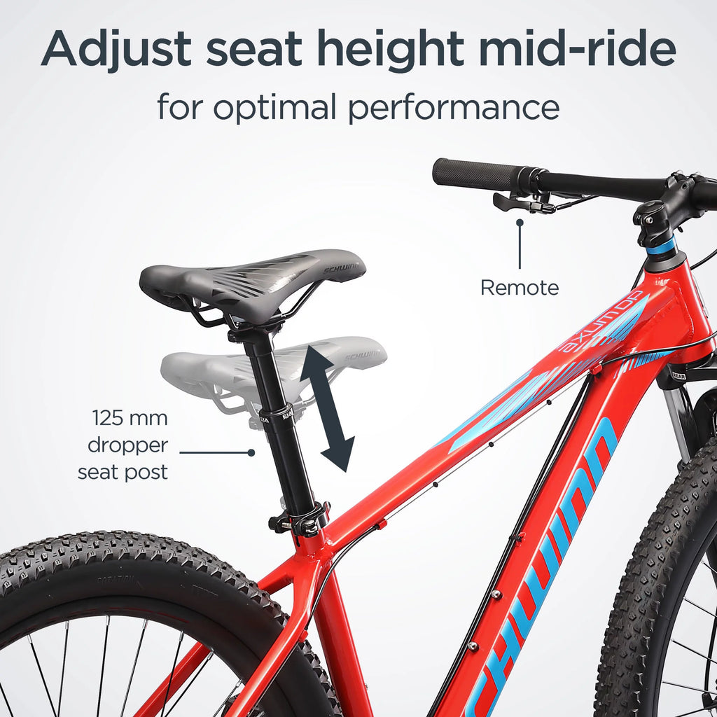 29-in. Mens Mountain Bike V429