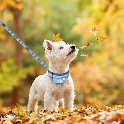 Blue Plaid Dog Collar and Leash Set D544