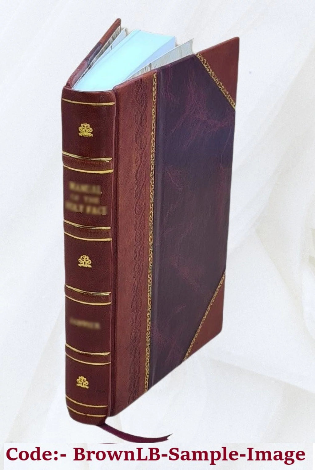 Leather Bound Book C508726