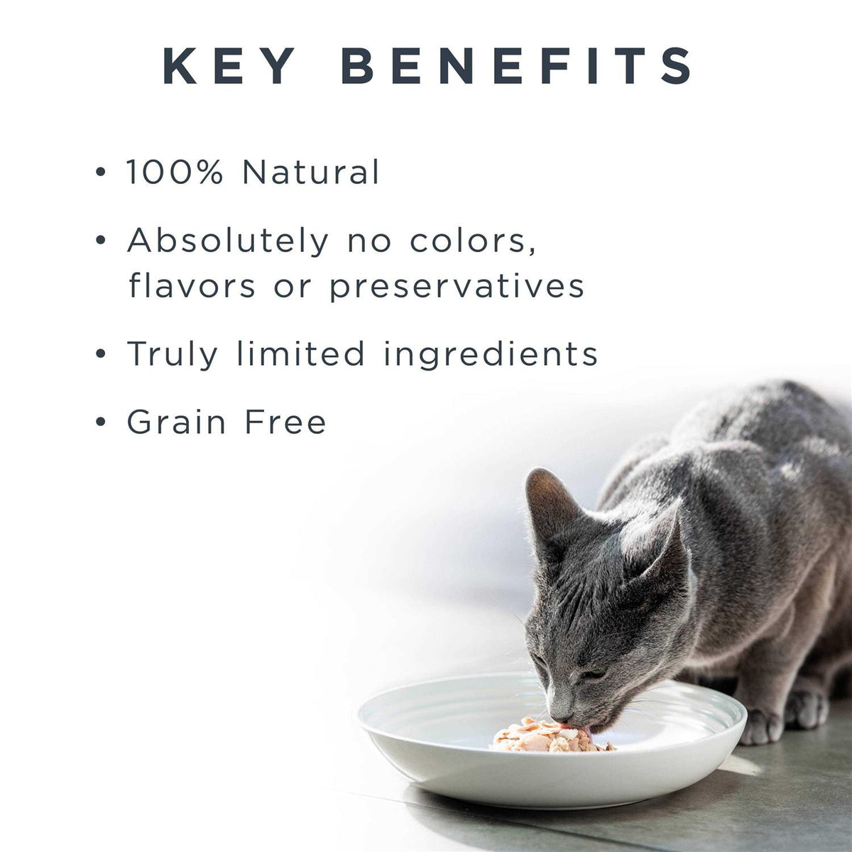 Wet Cat Food Tuna Fillet with Sea Bream in Broth U98788