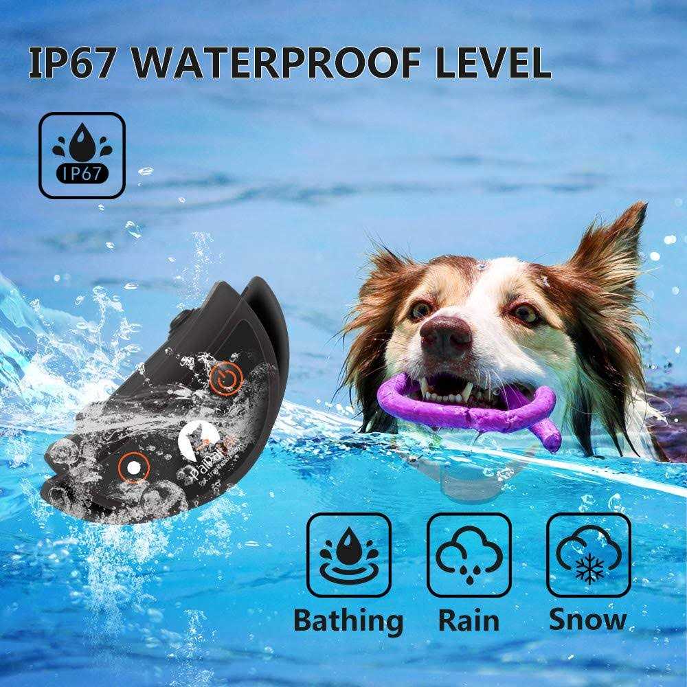 Dog Training Collar with Remote C748