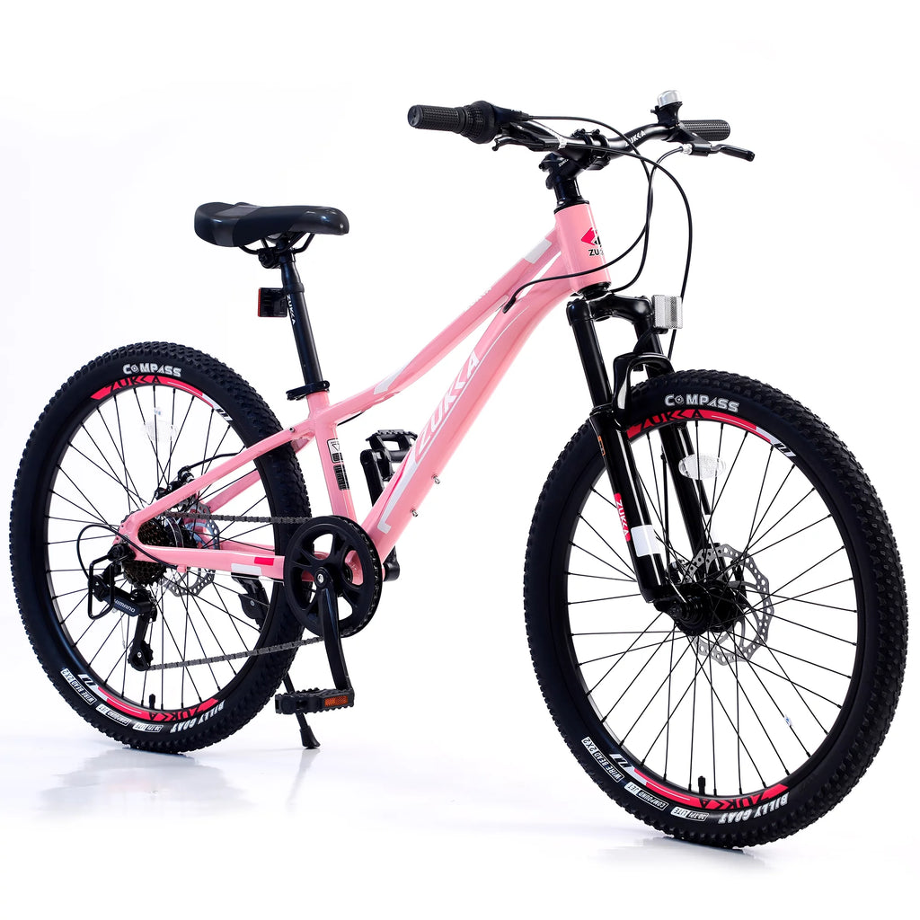 20 Carbon Steel 7-Speeds Kids Mountain Bike B261