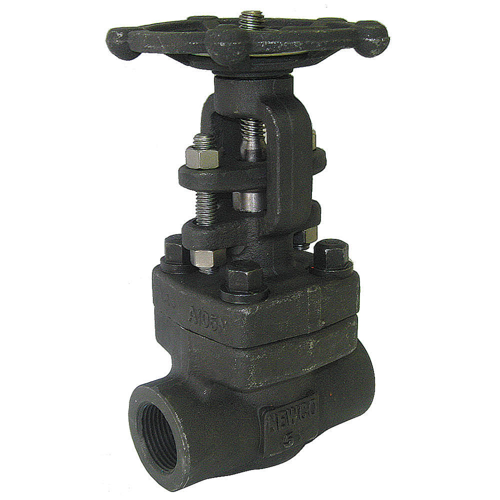 2 in Carbon Steel FNPT Gate Valve M471971