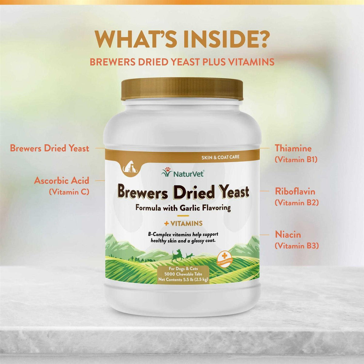 Brewer's Yeast with Garlic 1000 Tablets Q17623