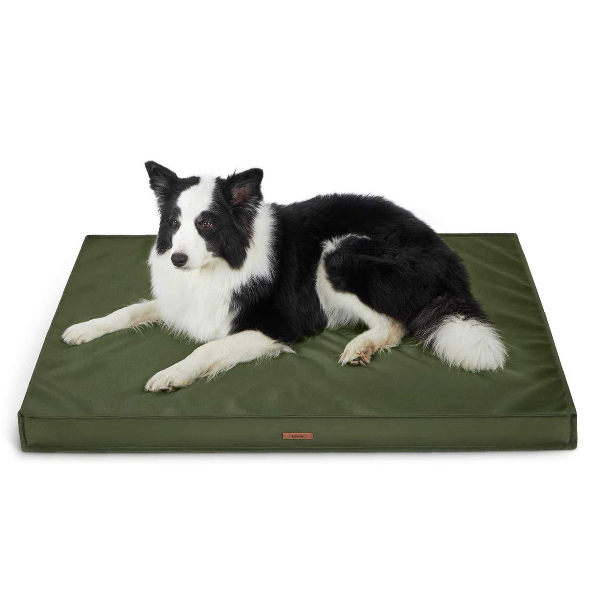 Waterproof Oxford Fabric Dog Bed P8442