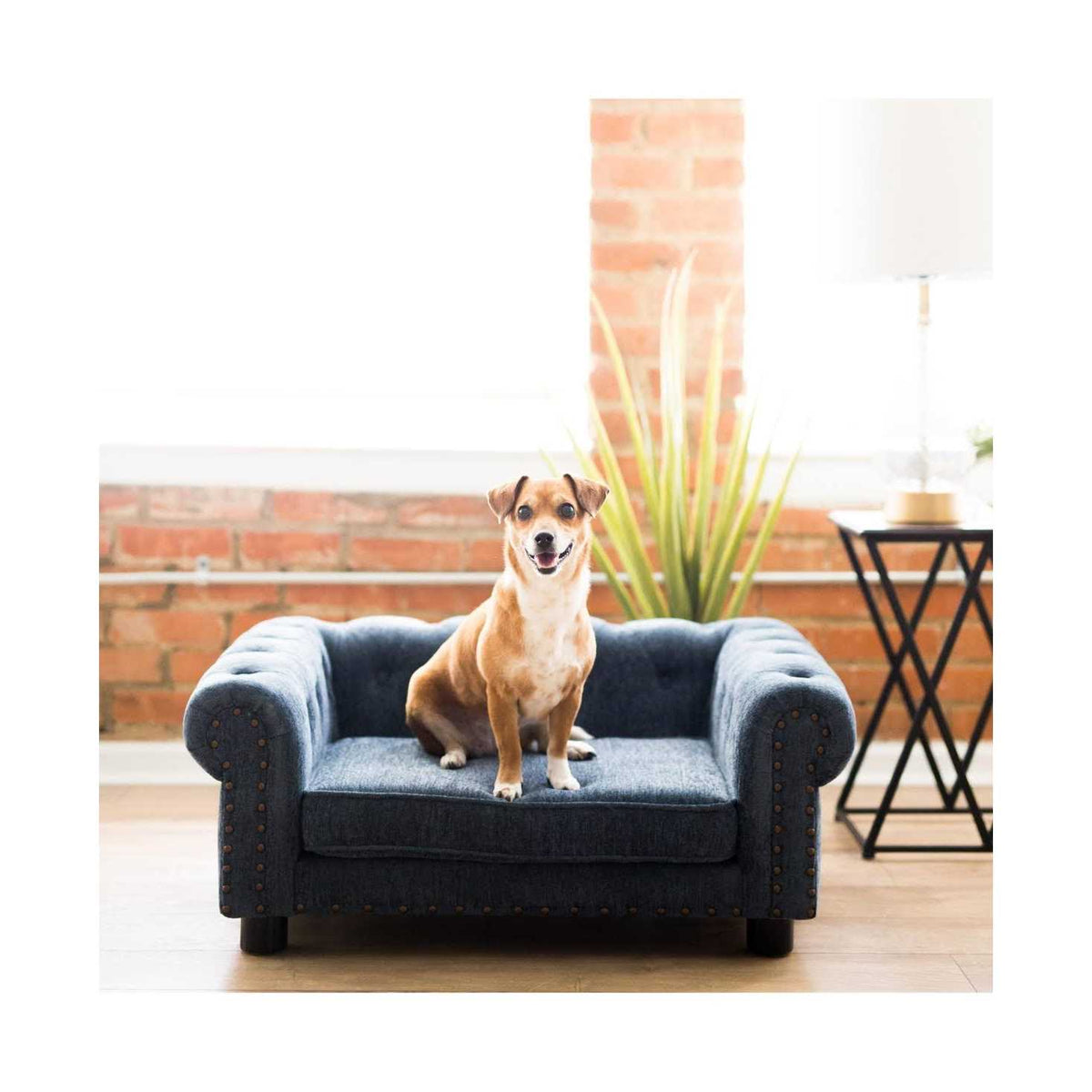 Sofa Dog Bed H2293