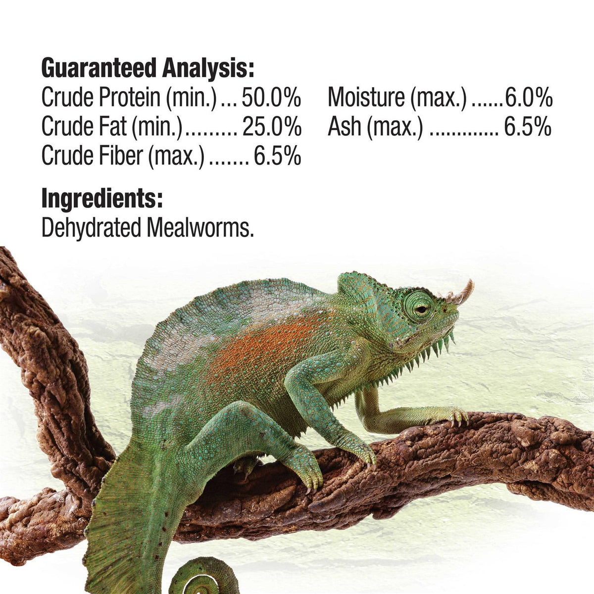 Mealworms Reptile Pet Supplies Q86618