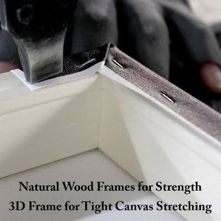 Canvas O66519