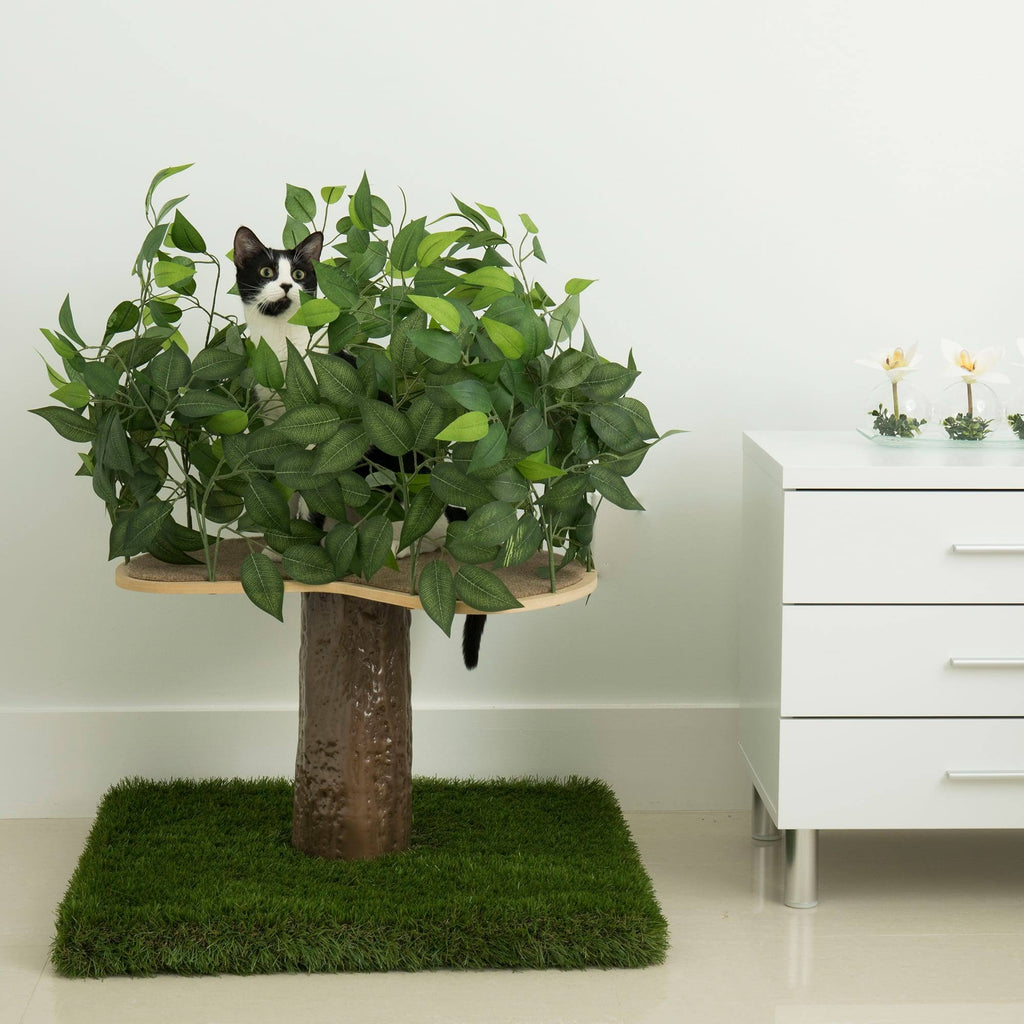 24 in. Square Cat Tree S5817