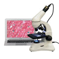 40X-1000X Dual Light Optical Glass Lens Microscope I66408