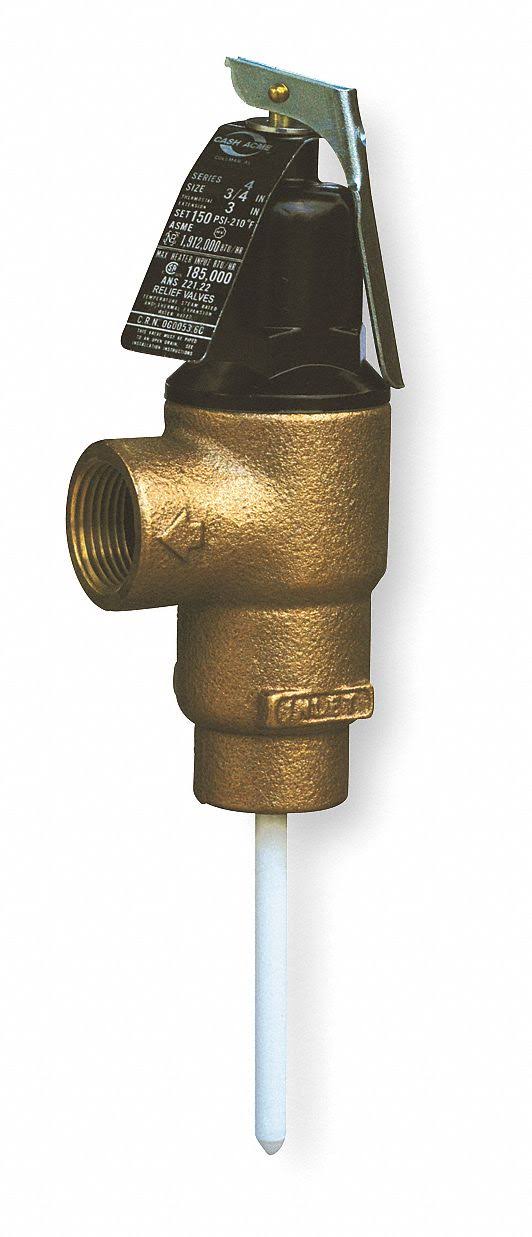 T and P Relief Valve G377391