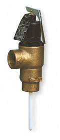 T and P Relief Valve G377391