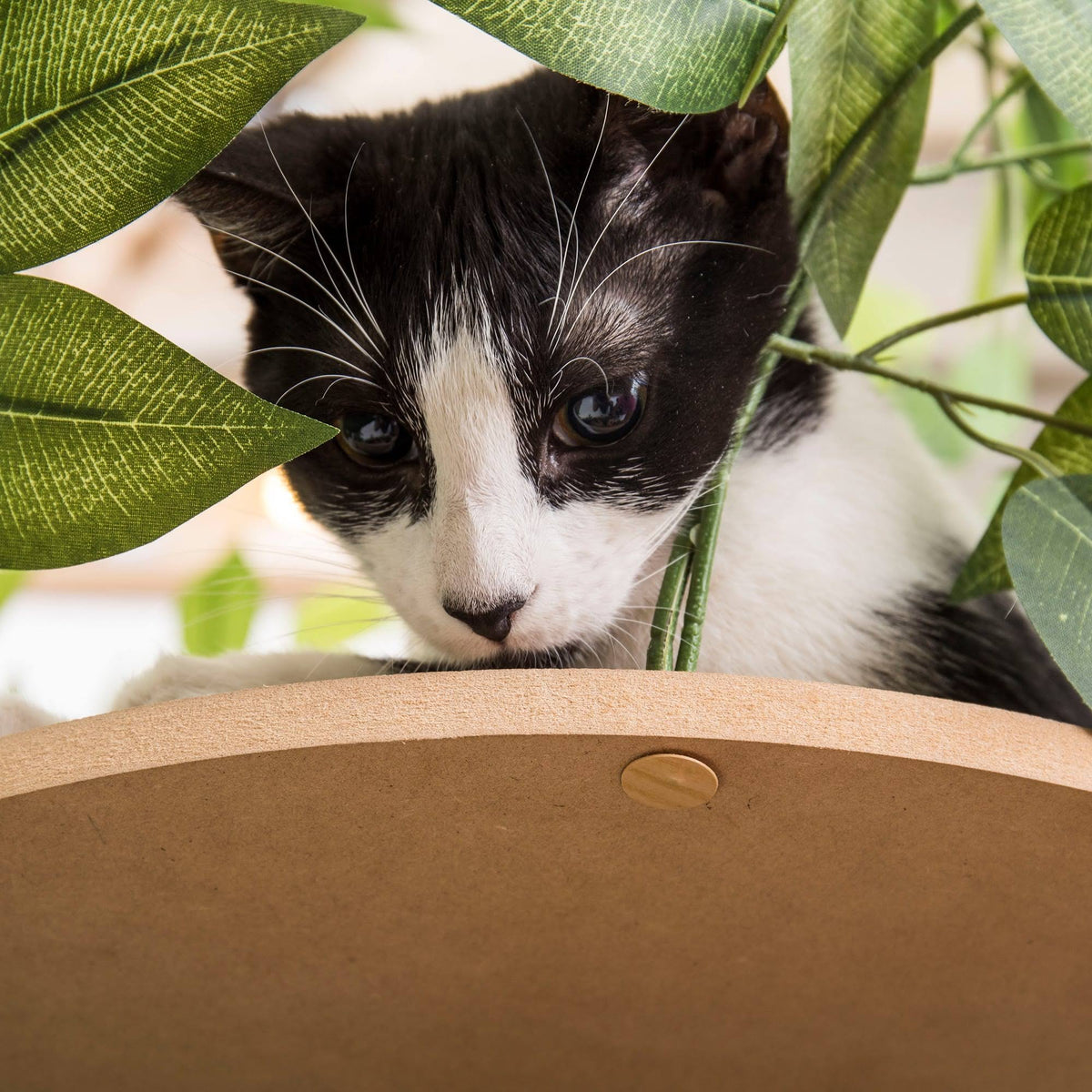 24 in. Square Cat Tree S5817